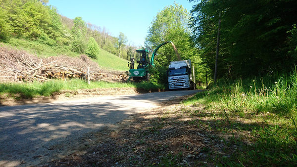 Transports routier de bois