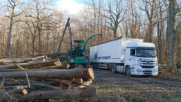 Transports de bois par camions