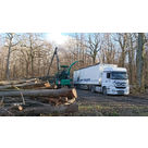 Transports de bois par camions