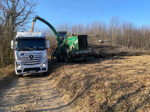 Chargement copeaux 3